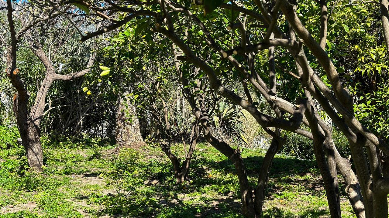 Villa La Milanina Lipari (Isola Lipari) Exterior foto